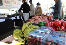 Taste Bundaberg Farmers Market