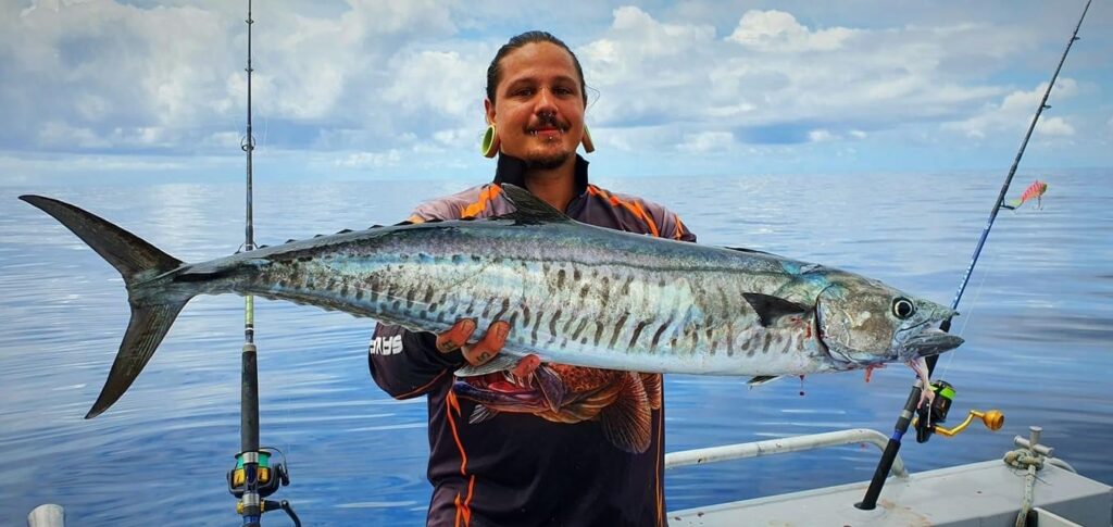 Spanish mackerel bundaberg