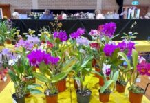 Childers and Isis District Orchid Society