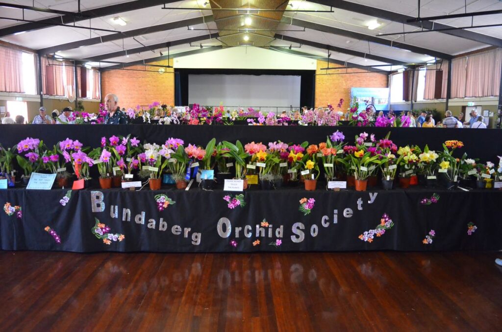 Bundaberg Orchid Society’s Mother’s Day
