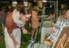 artisan twilight markets