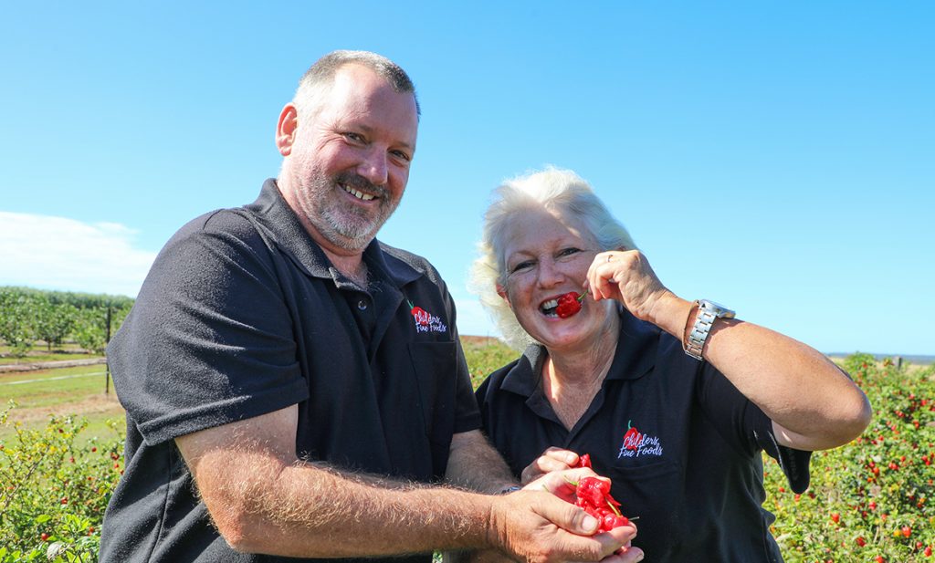 chilli chomp comp childers festival