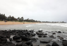 rain and wind forecast