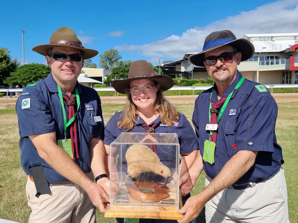 Kiwi Woggle Competition