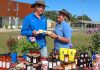 Taste Bundaberg Festival food