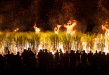 childers cane fire