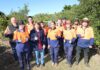 tree planting project