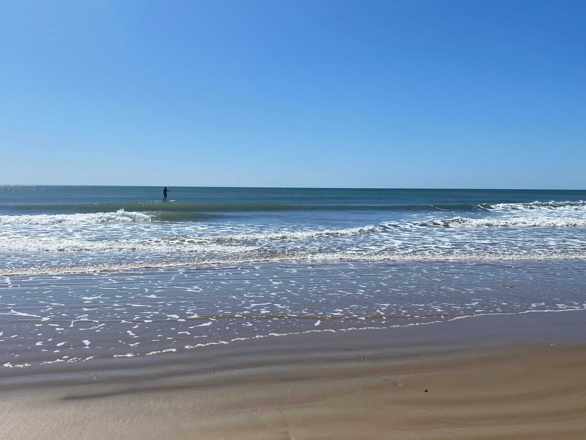 Early mornings with high tide best for swimming – Bundaberg Now