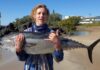longtail tuna