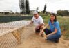New turtle cage Milbi Gala Ball charity