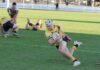 seagulls grand final