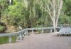 Botanic Gardens boardwalk