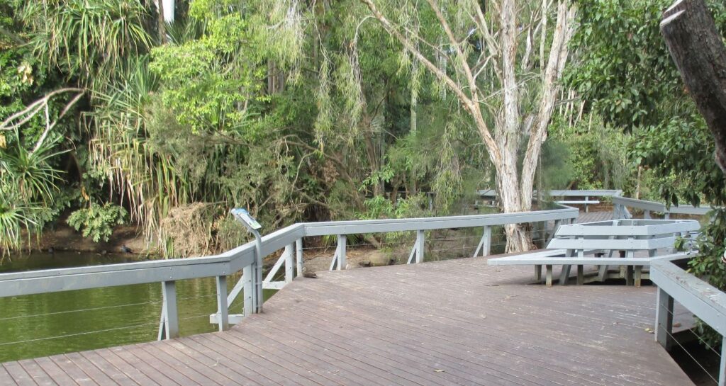 Botanic Gardens boardwalk