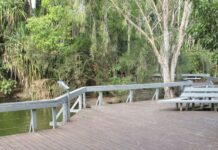 Botanic Gardens boardwalk