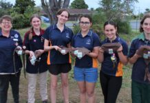 Scouts Bundaberg Agoonoree