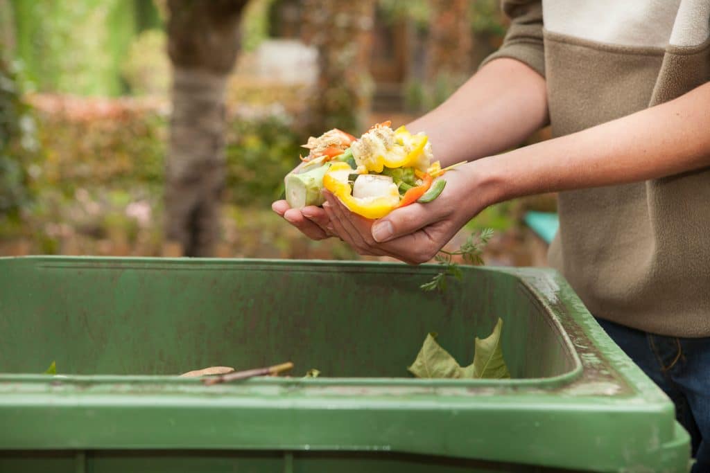 food and green waste bin FOGO