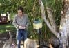 native bee workshop