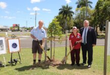 tree planting jubilee