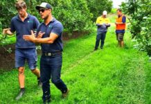 Macadamia Farm Management