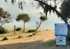 Moore Park Beach four-wheel-drive survey restrict vehicle beach access
