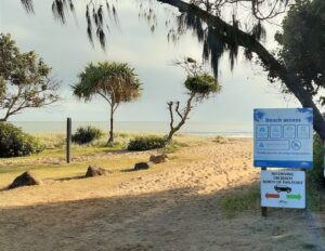 Moore Park Beach four-wheel-drive survey restrict vehicle beach access