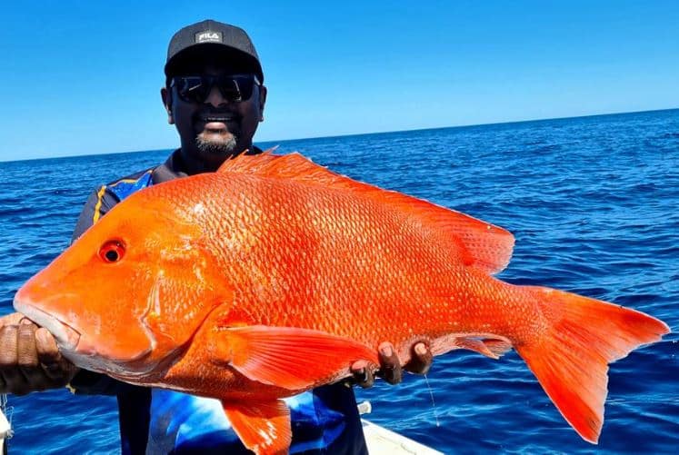 Plenty of great fish being caught in the region – Bundaberg Now