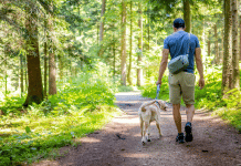 Tips to keep your animals safe this holiday season