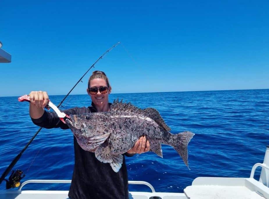 quality fish bundaberg