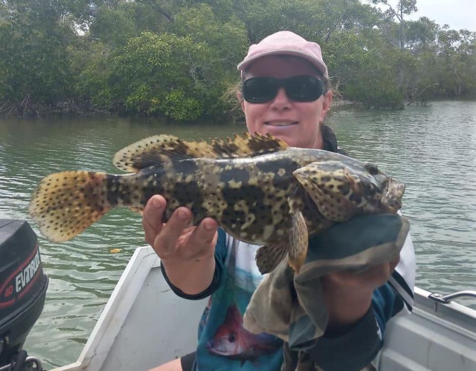 quality fish bundaberg