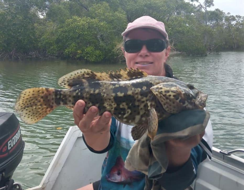 quality fish bundaberg 