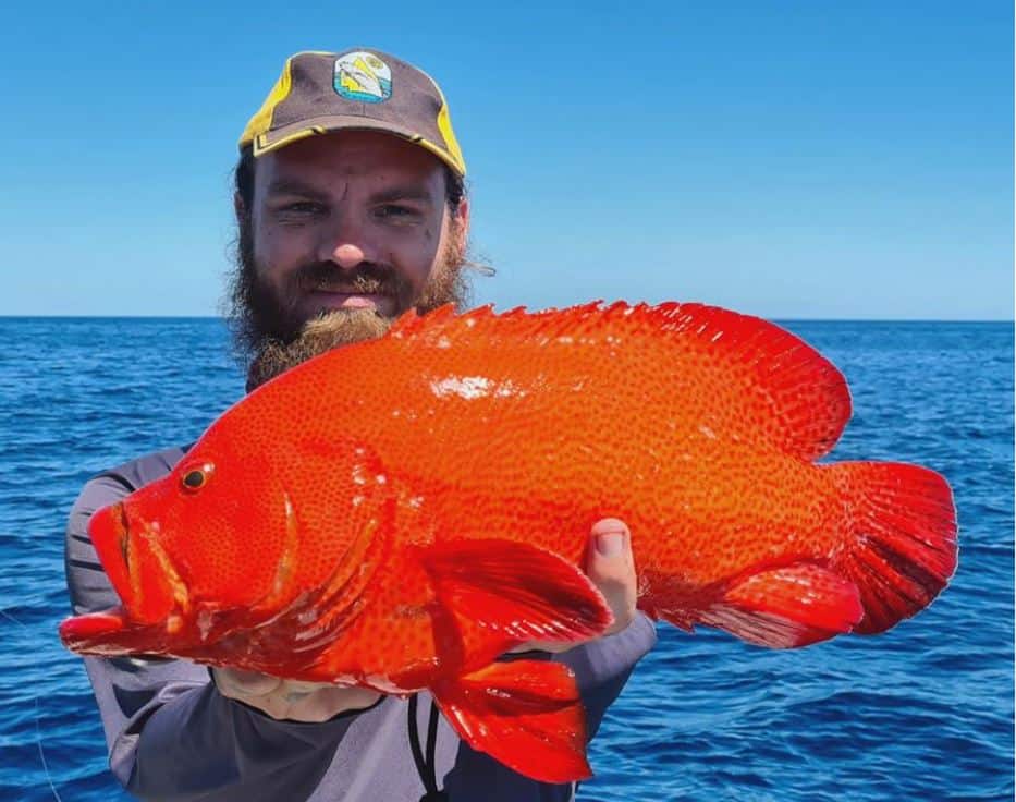 Nelson Phillips with a rare tomato cod caught off Bundy