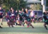 pythons grand final