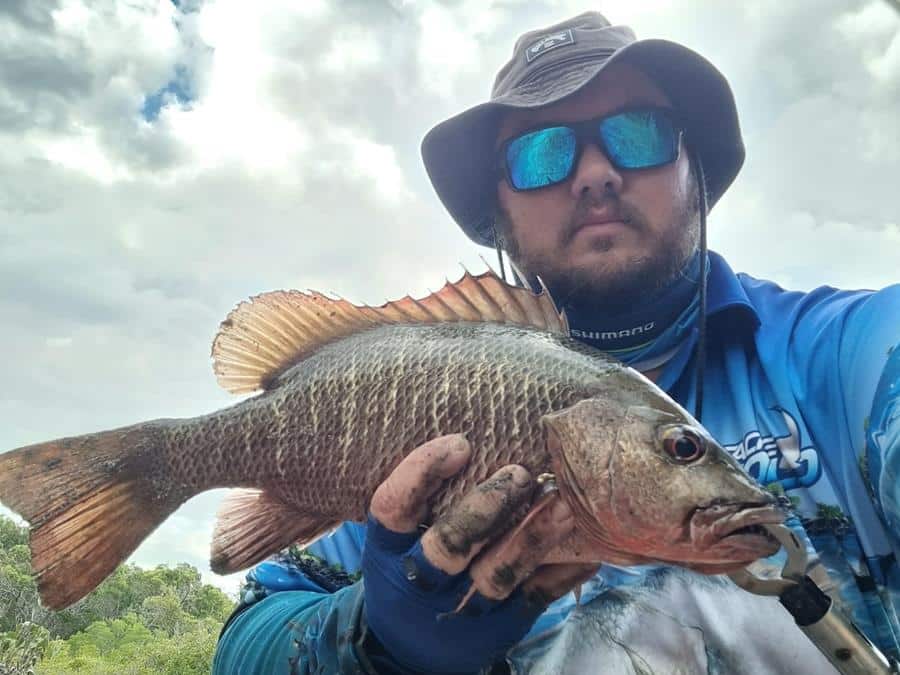 Inshore reefs fishing well – Bundaberg Now