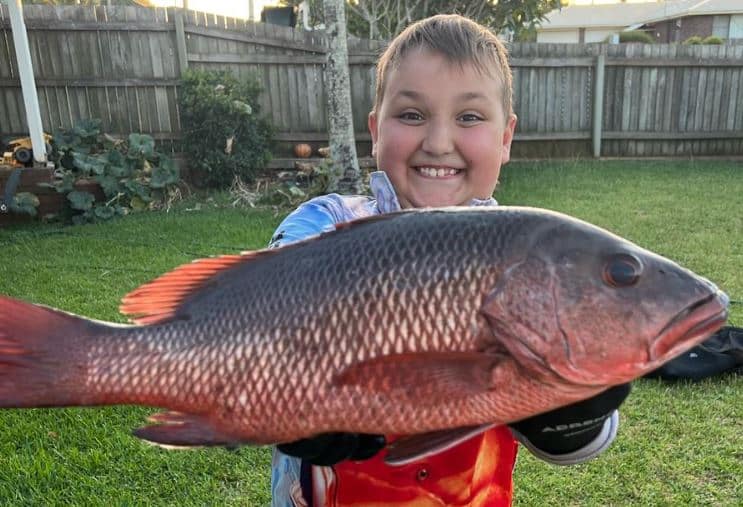 Burnett River jack