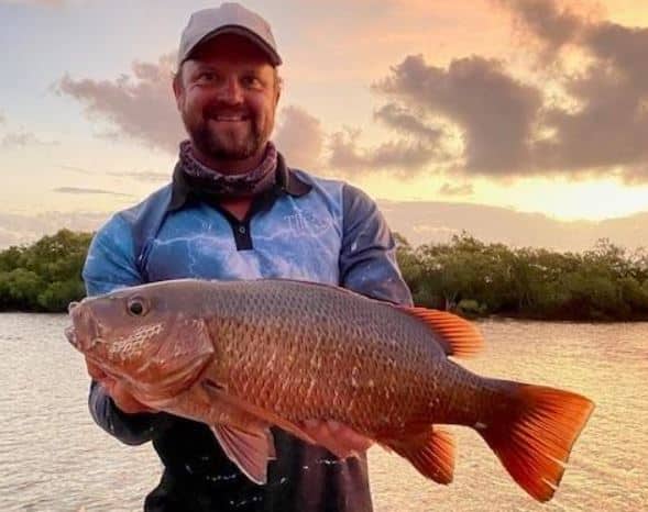 Burnett River jack