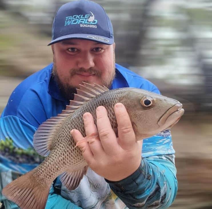 Burnett River jack