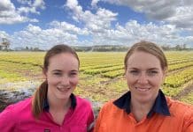 CQUniversity researchers