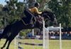 Bundaberg Horse and Pony Club 2