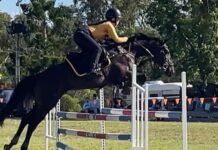 Bundaberg Horse and Pony Club 2