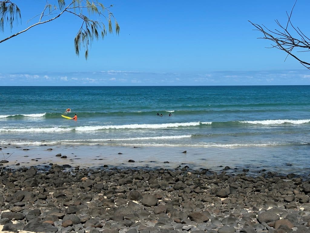 sensational day for swimmers