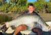 Karda barramundi Burnett
