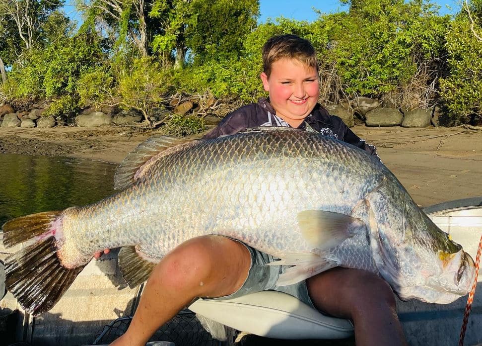 Karda barramundi Burnett