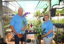 Bundaberg Orchid Society Community grant