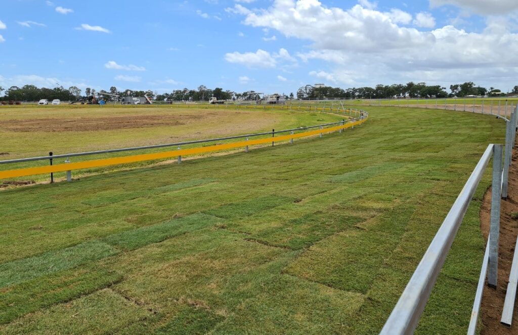 Bundaberg Greyhound Racing 