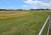 Bundaberg Greyhound Racing