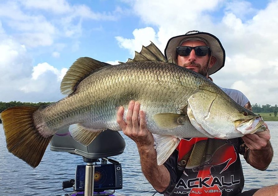 logan barramundi