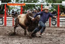 Lighthouse Country bulls and barrel racing