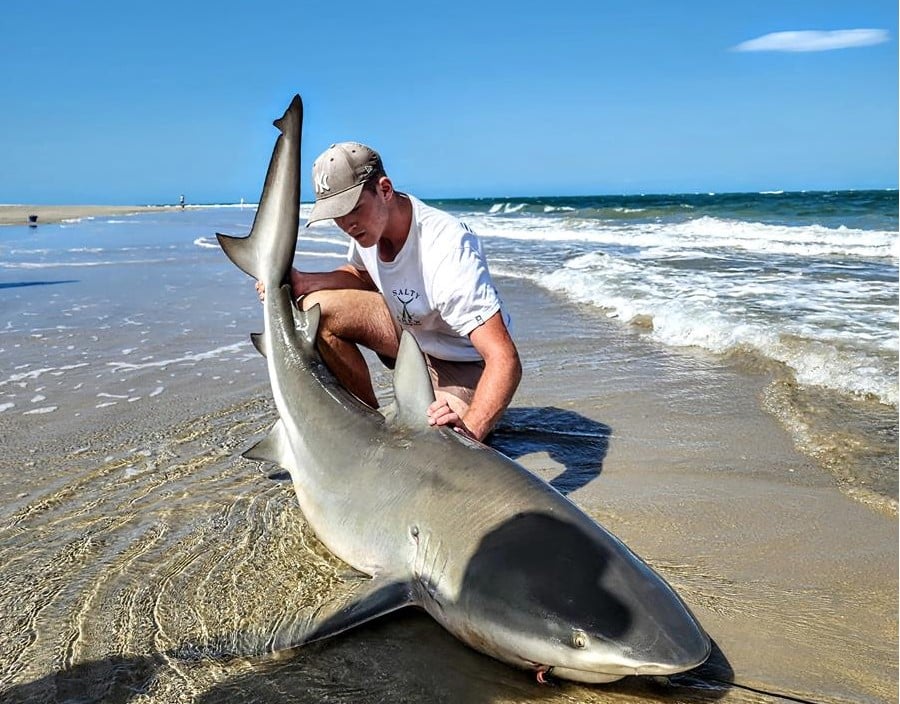 Leroy Bartlett bull shark Kinkuna Beach