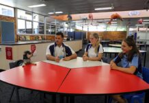 school support dog Kiwi Bundaberg State High School