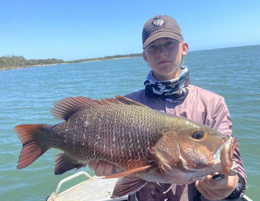 Burnett River fishing is red hot – Bundaberg Now